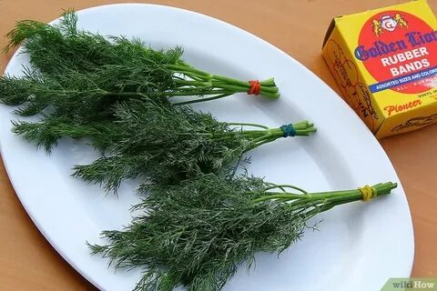 تصویر 4 از فروش سبزی شوید خشک اعلا با تضمین کمترین قیمت